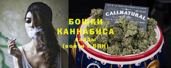 гидра Фёдоровский