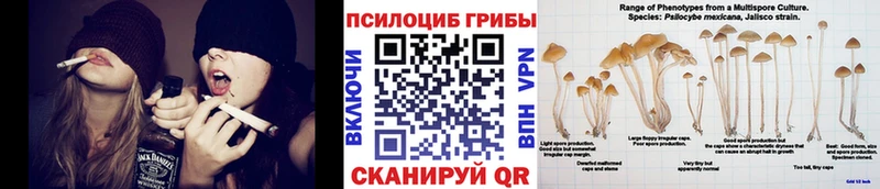 блэк спрут зеркало  Белоярский  Галлюциногенные грибы ЛСД 